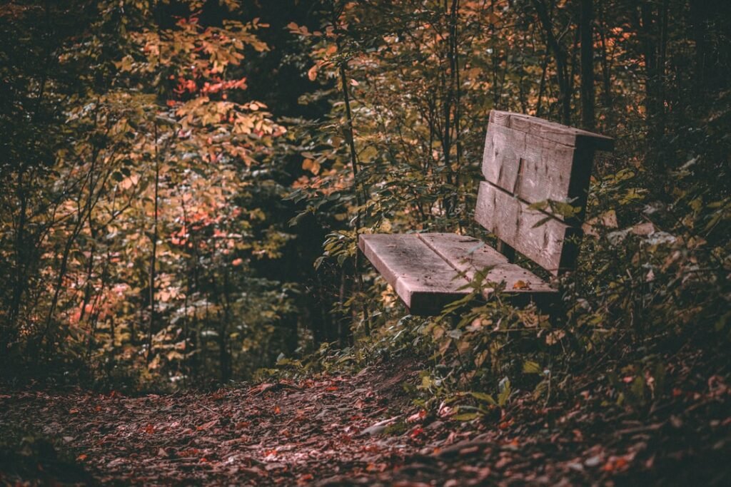 Photo Wooden bench