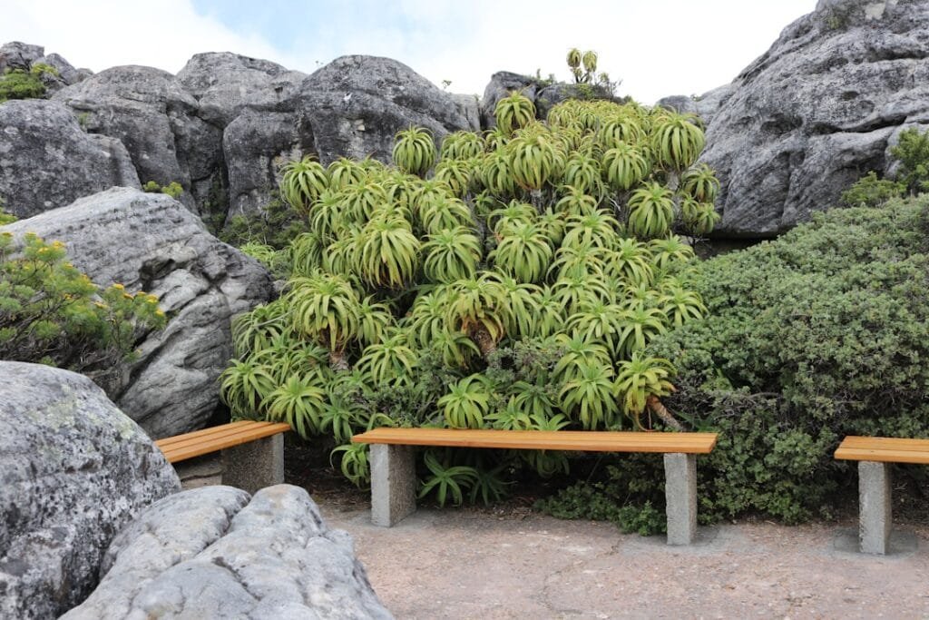 Photo Outdoor island table