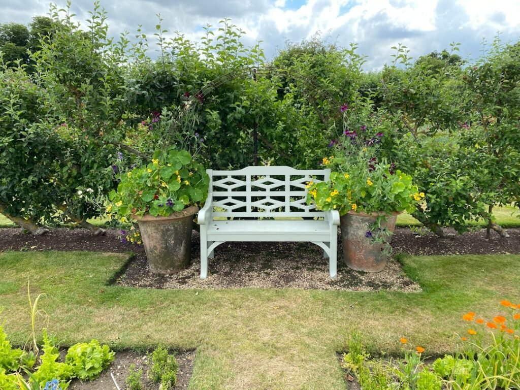 Photo Outdoor Chair