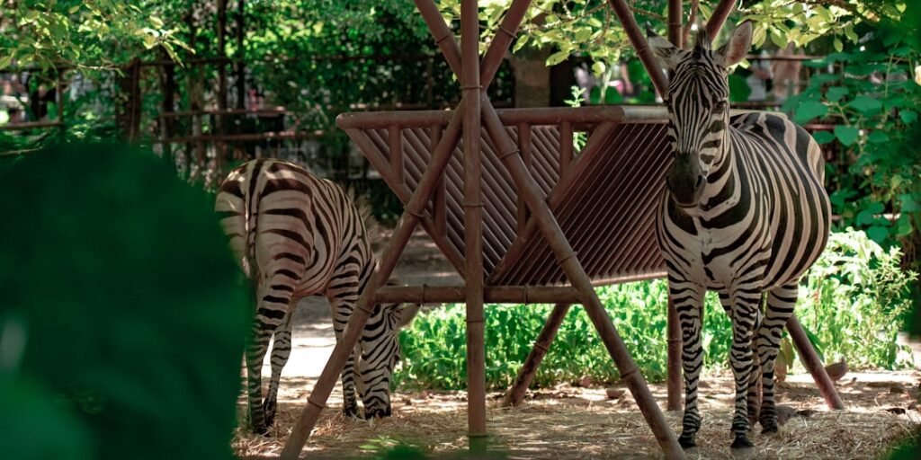 Photo Metal Outdoor Furniture Designs