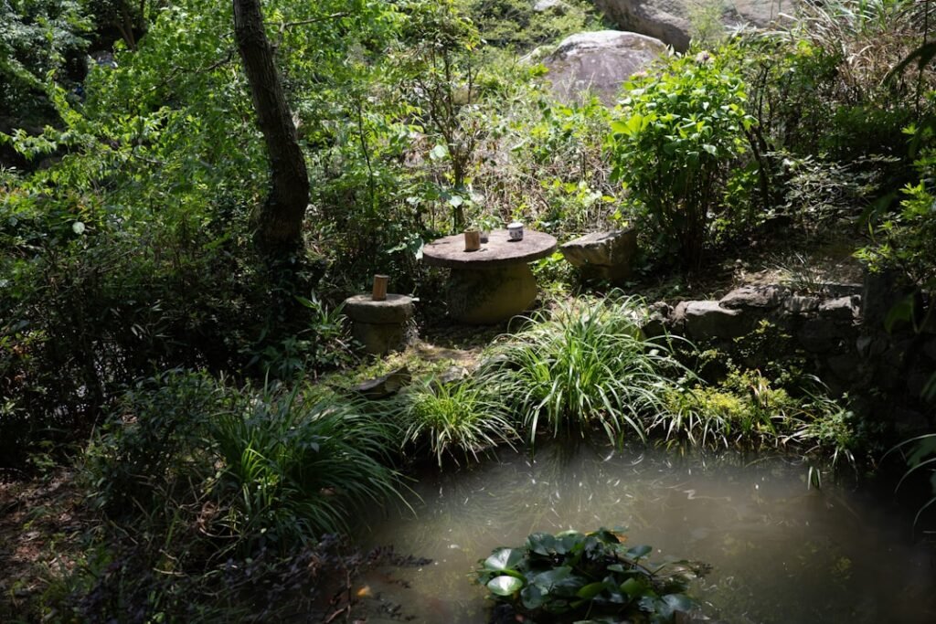 Photo garden furniture set