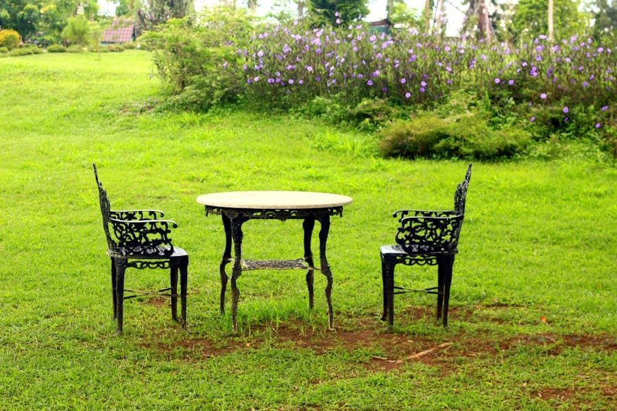 Photo garden furniture set