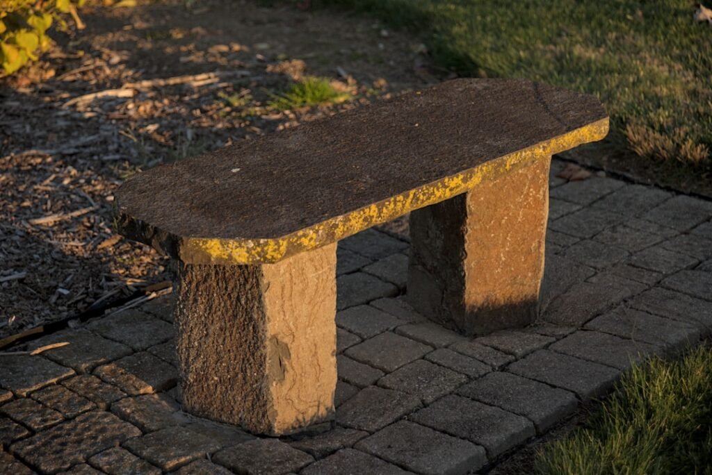 Photo outdoor garden bench