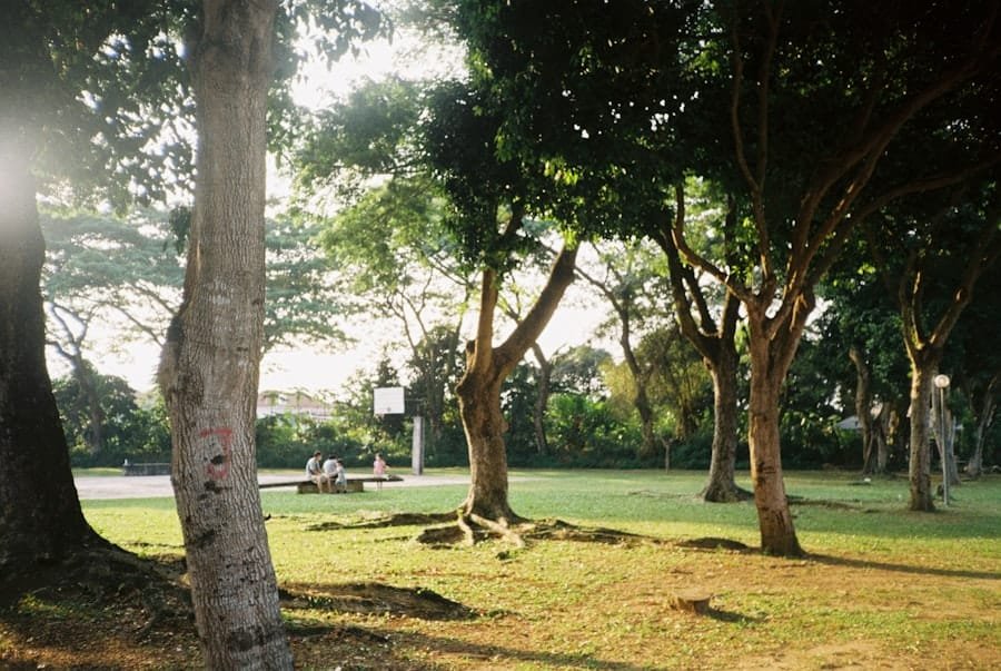 garden benches Malaysia