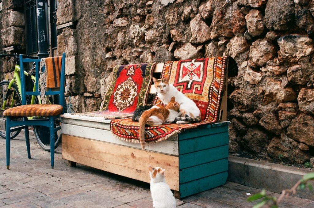 Photo outdoor storage furniture