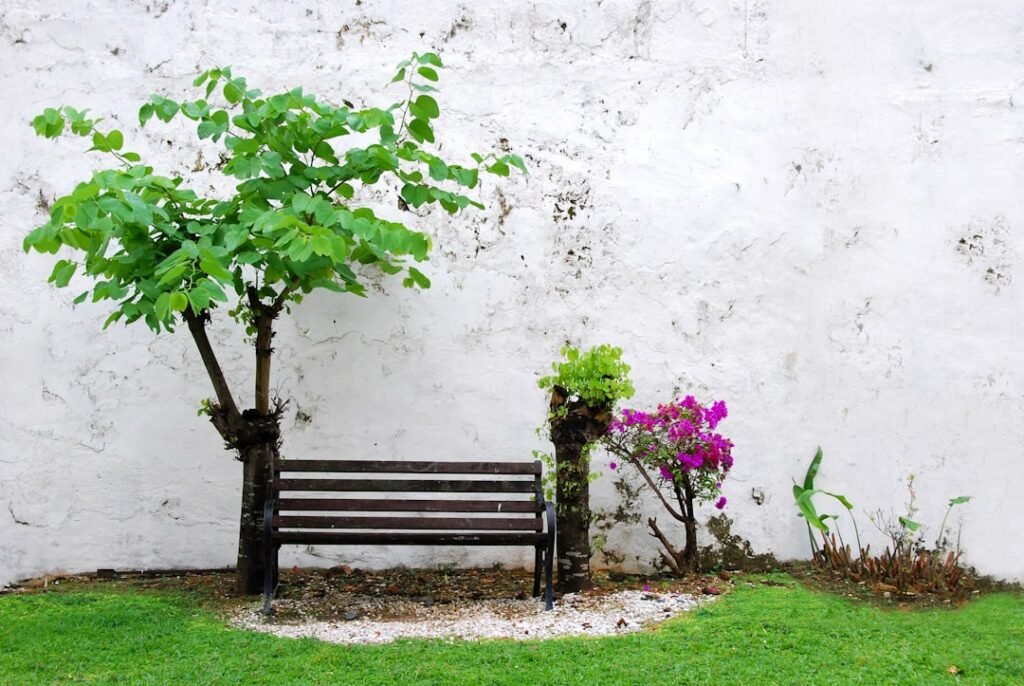 Photo garden benches