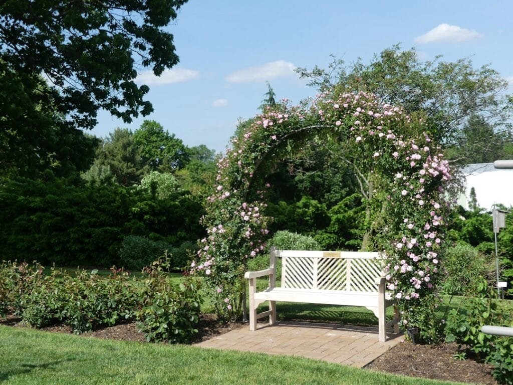Photo Garden Bench